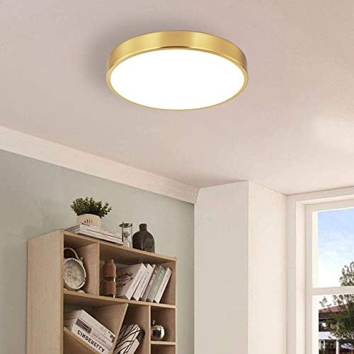 2 Pack 9 Inch Brushed Gold Metal Flush Mount LED Ceiling Light,3000K-5000K Thin Round Low Profile Ceiling Lamp,Modern Surface Mount Ceiling Light Fixtures for Bedroom Hallway Bathroom