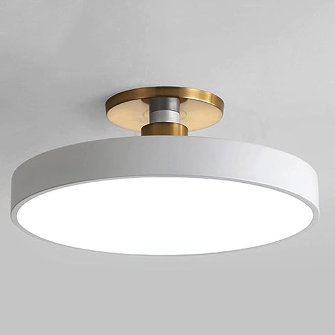 Flush Mount Ceiling Lamp LED Adjustable Tri-Color Light Ceiling Light Round Aisle Loft Restaurant Ceiling Light Fixture for Living Room Bedroom Dining Room Kitchen Study Room Corridor Chandelie