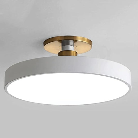 Flush Mount Ceiling Lamp LED Adjustable Tri-Color Light Ceiling Light Round Aisle Loft Restaurant Ceiling Light Fixture for Living Room Bedroom Dining Room Kitchen Study Room Corridor Chandelie