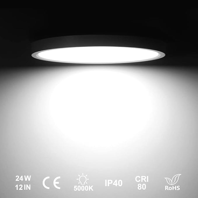 2 Pack 12 Inch LED Flush Mount Ceiling Light Fixture, 5000K Daylight White, 24W 3200LM, Round Flat Ceiling Lights, Bright Slim Low Profile Lighting Fixtures for Bedroom Kitchen Hallway Stairwells
