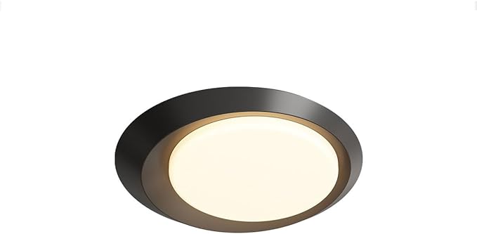 Minimalist Luxury Black Ceiling Lamp with Acrylic Shade Flat Lighting Simple Round Ceiling Lights Suitable for Bedrooms and Study Rooms