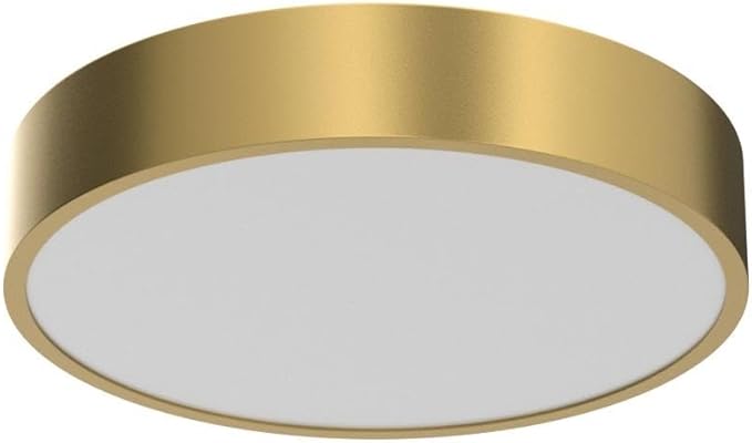 Modern Gold Flush Mount Ceiling Light Fixture,Contemporary 3-Light Round Ceiling Lights with White Acrylic Shade for Hallway,Foyer,Entryway,Closet, Bedroom,Kitchen(15.8")