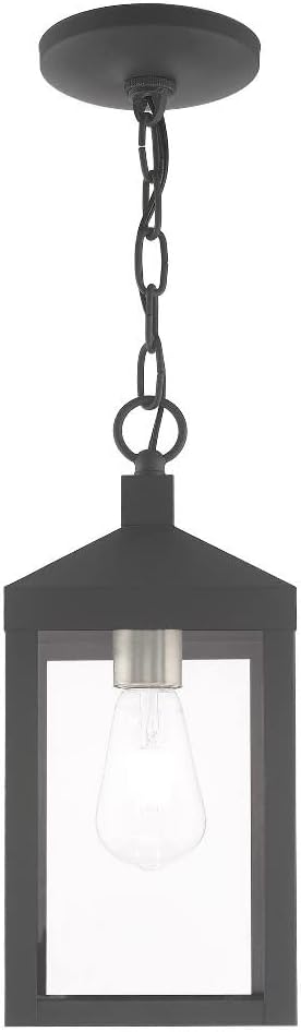 Livex Lighting 20591-80 Nyack - One Light Outdoor Hanging Lantern, Nordic Gray Finish with Clear Glass