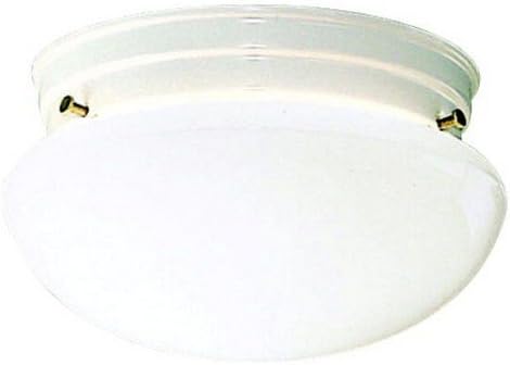 Kichler Ceiling Space 9" 2 Light Flush Mount with White Globe in White
