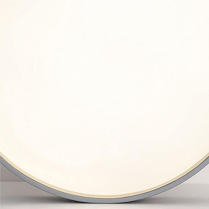 Modern Ultra Thin Round Ceiling Light Scandinavian Simple Ceiling Lamp Fixture for Stairwell Aisle Living Room Bedroom Dining Room Kitchen Study Corridor(Neutral Light)