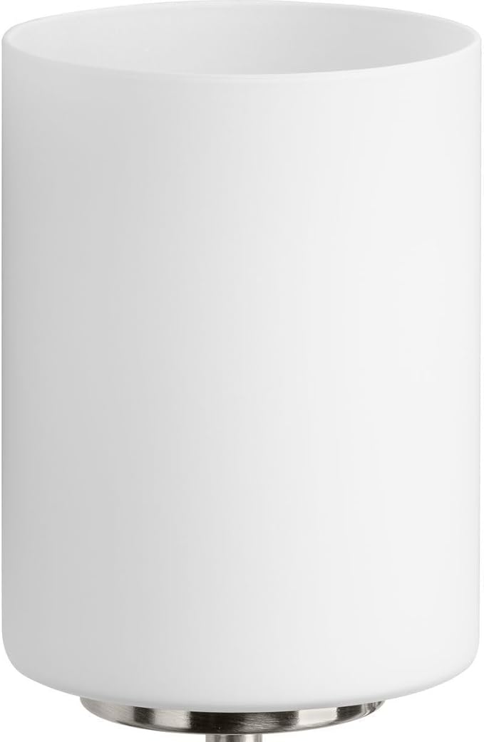 Progress Lighting 4-Light Etched White Glass Modern Bath Vanity Light, Replay Collection, Brushed Nickel (P2160-09)