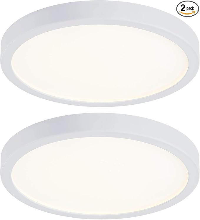 10 Inch LED Flush Mount Ceiling Light, Slim Dimmable Light Fixture Ceiling Mount for Kitchen, Bedroom, Metal and Glass Flush Ceiling Light Fixture for Low Ceiling, White, 17W, 3000K, 2 Pack