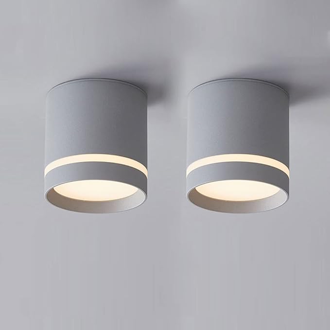 Minimalist Ceiling Downlight Cylinder LED Ceiling Light Aluminum Anti-Glare Ceiling Light Fixture Indoor Mini Ceiling Lamp for Corridor Living Room Bedroom