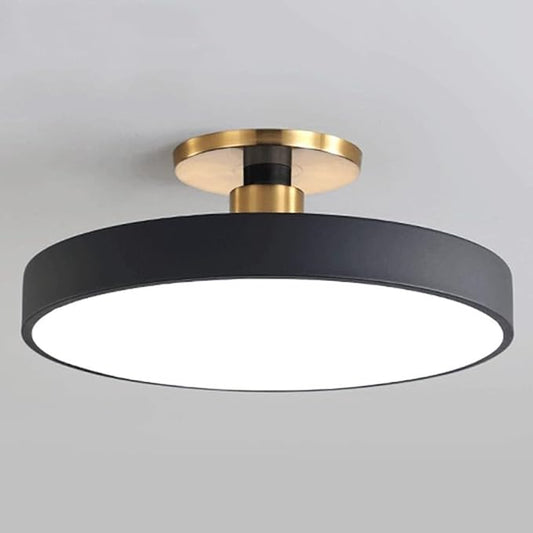 Flush Mount Ceiling Lamp LED Adjustable Tri-Color Light Ceiling Light Round Aisle Loft Restaurant Ceiling Light Fixture for Living Room Bedroom Dining Room Kitchen Study Room Corridor Chandelie