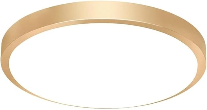 KISAD Modern and Minimalism Ceiling Lamp Ultra-Thin Circular Flush Mount Ceiling Light Acrylic Lampshade Ceiling Light Fixture for Bedroom(Gold,40cm)