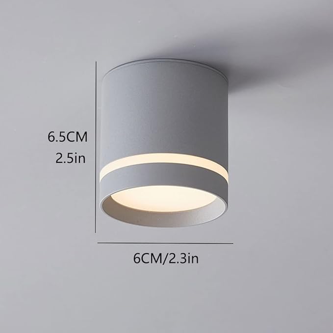 Minimalist Ceiling Downlight Cylinder LED Ceiling Light Aluminum Anti-Glare Ceiling Light Fixture Indoor Mini Ceiling Lamp for Corridor Living Room Bedroom