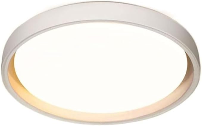 KISAD Close to Ceiling Lights Nordic Minimalist Ultra-Thin Ceiling Lamp Three-Color Dimming Ceiling Lamps Wrought Iron Mount Ceiling Light Dining Room Lighting(White,45cm)