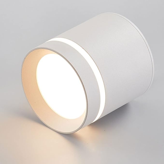 Minimalist Ceiling Downlight Cylinder LED Ceiling Light Aluminum Anti-Glare Ceiling Light Fixture Indoor Mini Ceiling Lamp for Corridor Living Room Bedroom