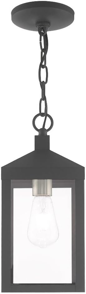 Livex Lighting 20591-76 Nyack - One Light Outdoor Hanging Lantern, Scandinavian Gray Finish with Clear Glass