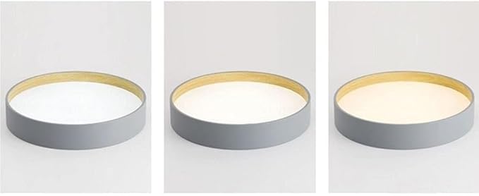 Modern Ultra Thin Round Ceiling Light Scandinavian Simple Ceiling Lamp Fixture for Stairwell Aisle Living Room Bedroom Dining Room Kitchen Study Corridor(Neutral Light)