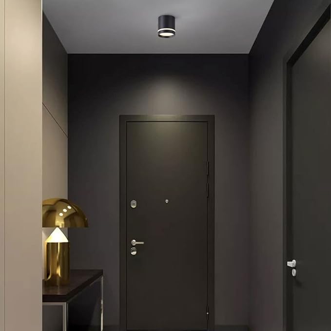 Minimalist Ceiling Downlight Cylinder LED Ceiling Light Aluminum Anti-Glare Ceiling Light Fixture Indoor Mini Ceiling Lamp for Corridor Living Room Bedroom