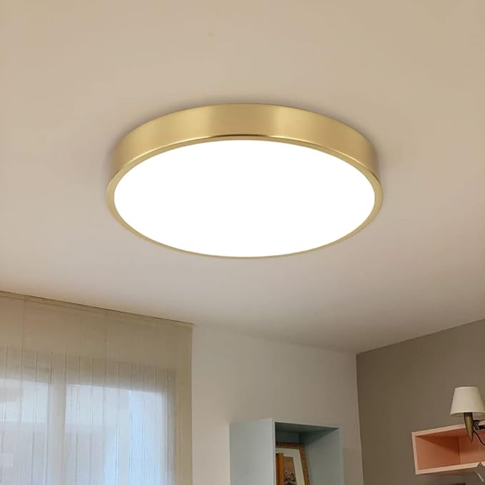 2 Pack 9 Inch Brushed Gold Metal Flush Mount LED Ceiling Light,3000K-5000K Thin Round Low Profile Ceiling Lamp,Modern Surface Mount Ceiling Light Fixtures for Bedroom Hallway Bathroom