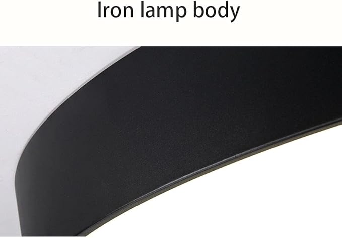 Minimalist Ceiling Lamp White Light Energy Saving LED Lights Easy to Install Lighting Fixture Decorative Black and Style Bedroom Study Living Room