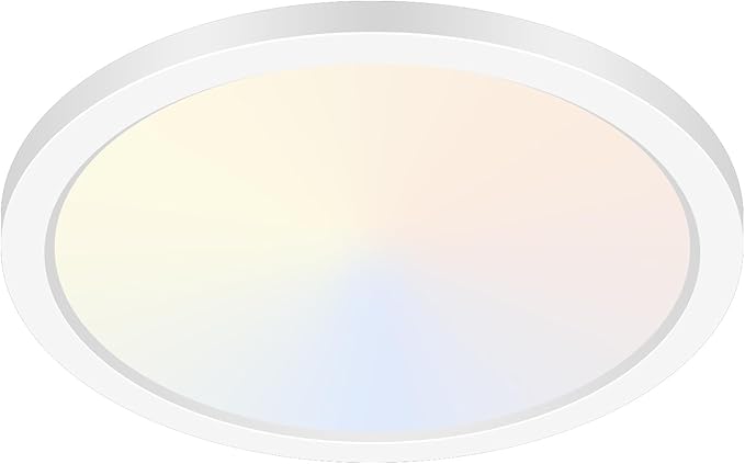 hepside 12Inch LED Flush Mount Ceiling Light Fixture 5CCT 24W 2800LM Closet Light Fixture,Small Round Slim Surface Ceiling Lamp for Hallway,Bathroom,Bedroom,Kitchen,Interior