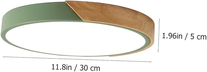 TEHAUX 1pc Modern Minimalist Ceiling Lamp Simple Decorative Light Fixture for Home and Restaurant Easy to Install for Bedroom Living Room and Hallway
