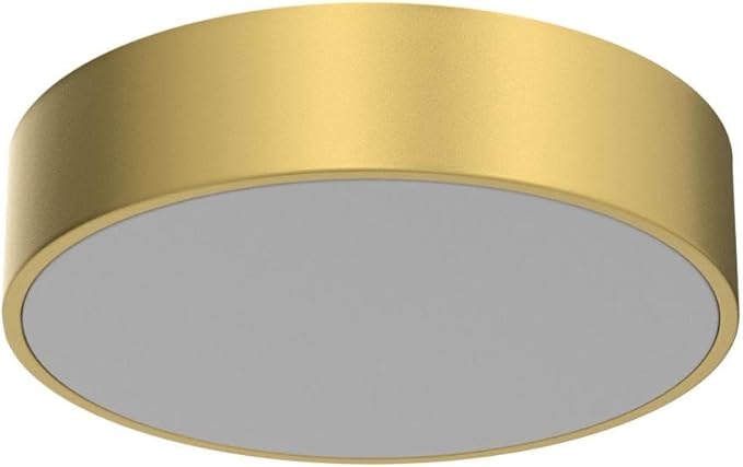 Modern Gold Flush Mount Ceiling Light Fixture,Contemporary 2-Light Round Ceiling Lights with White Acrylic Shade for Hallway,Foyer,Entryway,Closet, Porch,Kitchen(11.8")