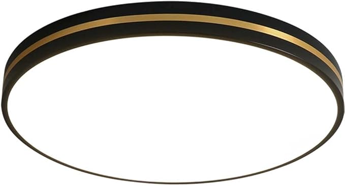Black Minimalist LED Ceiling Light Nordic Luxury and Dimmable Flush Mount Fixture Modern Ultra-Thin Ceiling Lamp for Bedroom, Living Room, Balcony, Hallway Lighting
