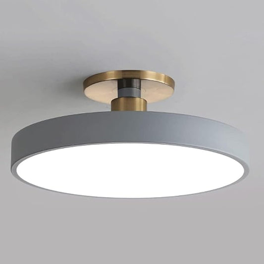 Flush Mount Ceiling Lamp LED Adjustable Tri-Color Light Ceiling Light Round Aisle Loft Restaurant Ceiling Light Fixture for Living Room Bedroom Dining Room Kitchen Study Room Corridor Chandelie