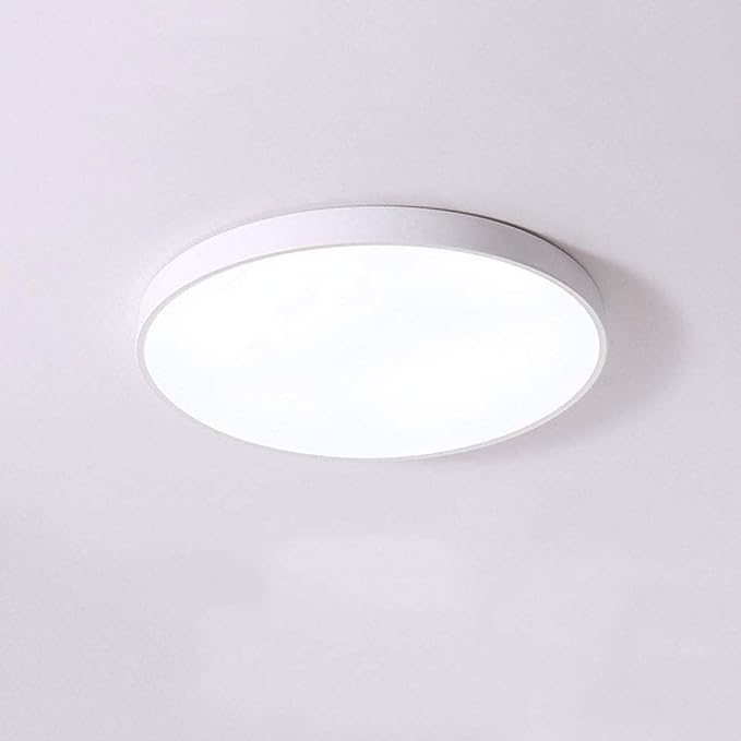 LED Flush Mount Ceiling Light Fixture Modern Minimalist Round Interior Lamp 6000-6500K Cold White Lighting Ultra-Thin 1.9 Inches Slim Suitable for Bedroom Loft Storage(White,Small)