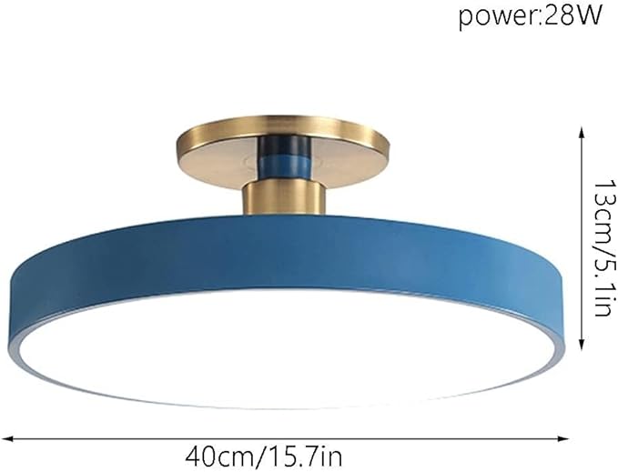 Flush Mount Ceiling Lamp LED Adjustable Tri-Color Light Ceiling Light Round Aisle Loft Restaurant Ceiling Light Fixture for Living Room Bedroom Dining Room Kitchen Study Room Corridor Chandelie