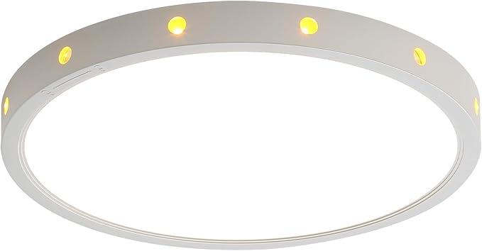 12in 24Watt Flush Mount led Ceiling Light fixtures.Remote Control Dimmable Ceiling Lights for Bedroom, Dining Room, Kitchen, Round White