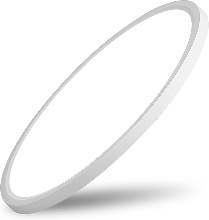 20 Inch LED Flush Mount Ceiling Light, 42W 4200LM Dimmable, 3000K/4000K/6000K Color Temperature Selectable, Ultra Slim Low Profile Ceiling Lighting Fixture for Kitchen Bedroom Laundry Hallway, White