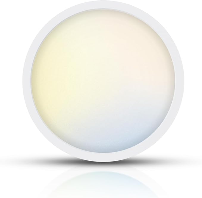 TOPELER 12 Inch Flush Mount Ceiling Light, 5 Color Temperatures Selectable (27K/30K/40K/50K/60K), 28W 2400Lm Dimmable Ultra-Thin Round Lighting Fixture for Kitchen, Stairwell, Porch, Basement