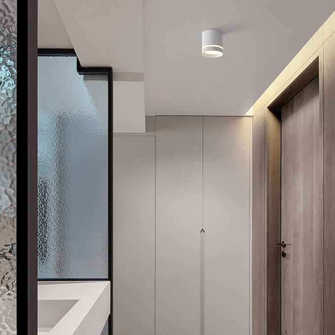 Minimalist Ceiling Downlight Cylinder LED Ceiling Light Aluminum Anti-Glare Ceiling Light Fixture Indoor Mini Ceiling Lamp for Corridor Living Room Bedroom