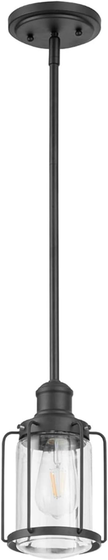 Prominence Home Lincoln Woods 1 Light Matte Black Industrial Pendant Light with Cage and Clear Glass - 51546-01