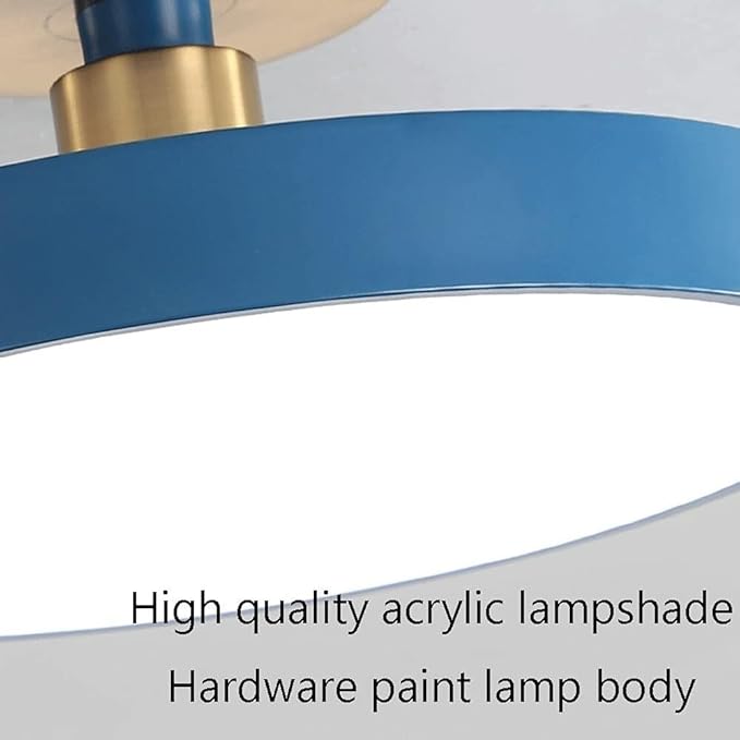 Flush Mount Ceiling Lamp LED Adjustable Tri-Color Light Ceiling Light Round Aisle Loft Restaurant Ceiling Light Fixture for Living Room Bedroom Dining Room Kitchen Study Room Corridor Chandelie
