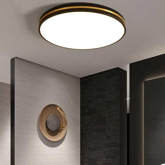 Black Minimalist LED Ceiling Light Nordic Luxury and Dimmable Flush Mount Fixture Modern Ultra-Thin Ceiling Lamp for Bedroom, Living Room, Balcony, Hallway Lighting