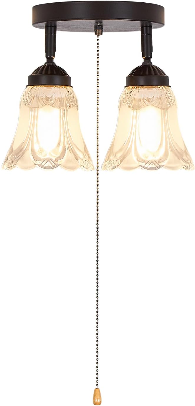 2-Light Flush Mount Ceiling Light with Pull Chain Clear and Frosted Glass Low Profile Lighting Fixtures for Kitchen Living Room Dining Room Closet, Black