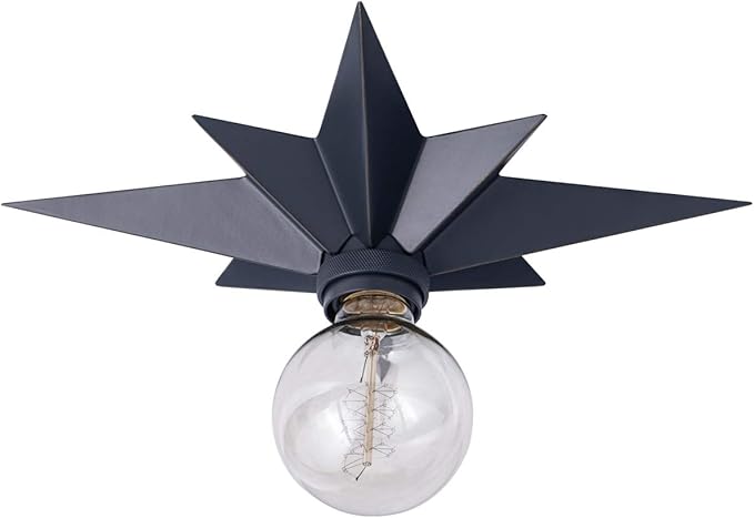VILUXY Flush Mount Ceiling Light, Black Star Light Fixtures Ceiling for Hallway, Entryway, Study Room, Bedroom