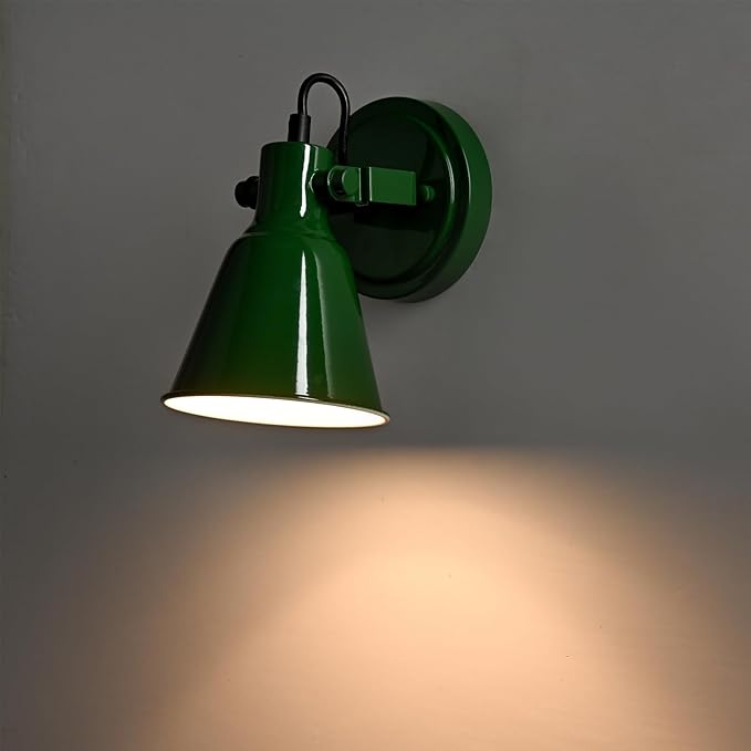 DIRYZON 1-Light Adjustable Green Spotlight, Semi Flush Mount Track Light Ceiling Light Fixture for Bedroom, Kitchen, Hallway & Wall Art Display