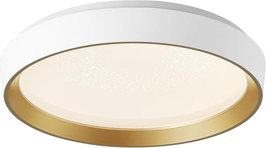 ANYLOVE 10 Inch Modern Flush Mount Ceiling Lights,White Gold Plastic Round Ceiling Light,Dimmable 3000K,3500K,4000K,5000K,6000K,for Living Room,Dining Room,Bedroom,Kitchen (White and Gold, 15 Inch)