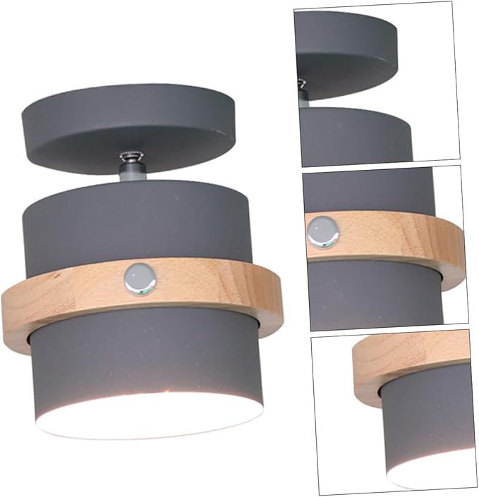 Ipetboom Minimalist LED Ceiling Lamp White Light Grey Finish Light Fixture for Hallway Dining Kitchen Living Areas