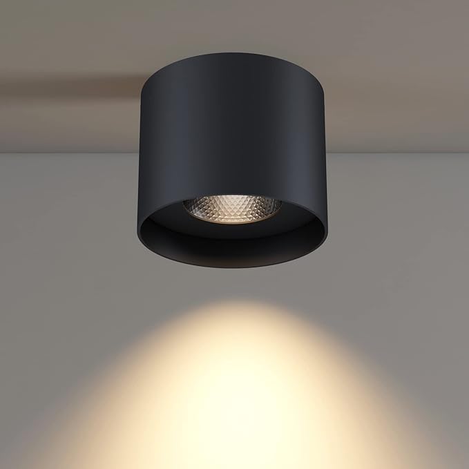 Flush Mount Ceiling Light, 20W LED Dimmable 5.9" Cylinder Ceiling Light, Aluminum Rustic Black Ceiling Spotlight for Foyer Closet Kitchen Hallway Entryway 3000K Warm White
