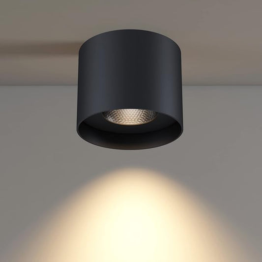 Flush Mount Ceiling Light, 20W LED Dimmable 5.9" Cylinder Ceiling Light, Aluminum Rustic Black Ceiling Spotlight for Foyer Closet Kitchen Hallway Entryway 3000K Warm White