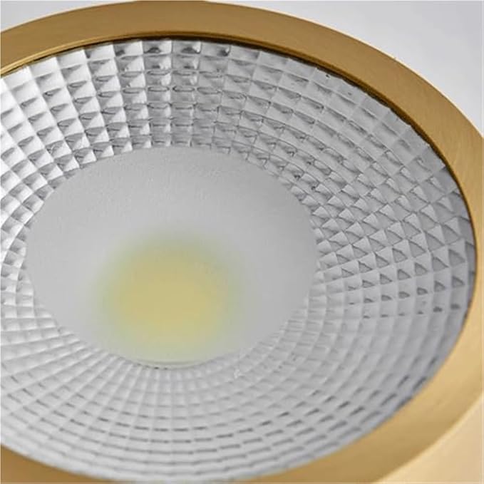 Modern Brass LED Ceiling Light Nordic Indoor Ceiling Lamp Cylindrical Shape Flush Mount Ceiling Lamp for Bedroom Hallway Kitchen Entryway(Large)
