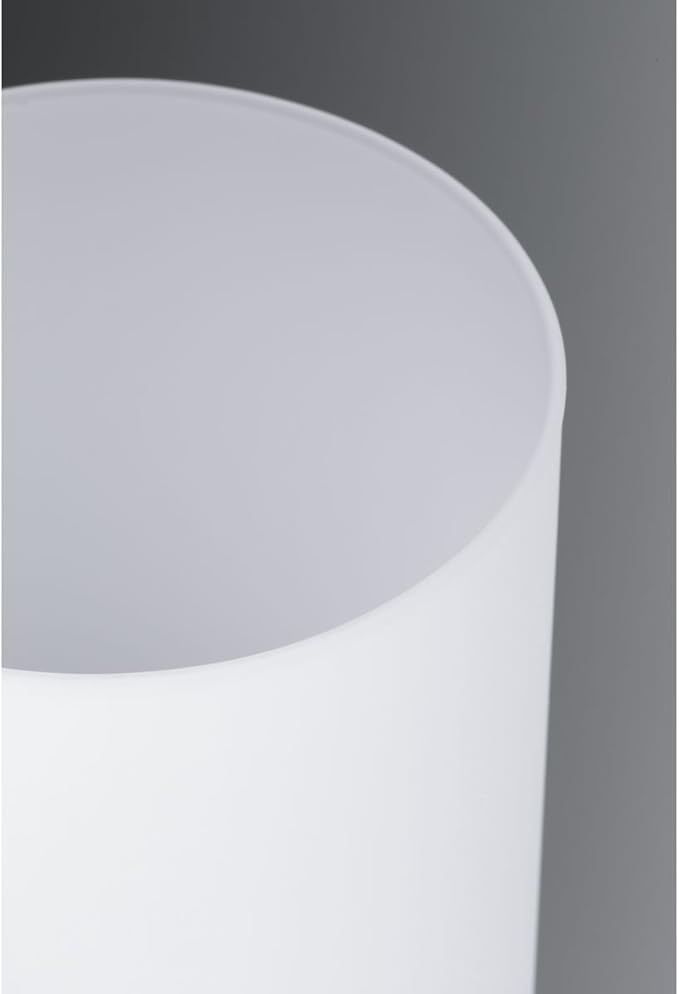 Progress Lighting Replay Collection 1-Light Etched White Glass Modern Bath Vanity Light Antique Bronze
