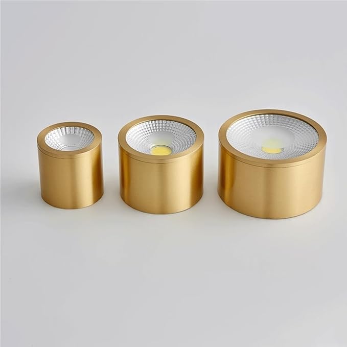 Modern Brass LED Ceiling Light Nordic Indoor Ceiling Lamp Cylindrical Shape Flush Mount Ceiling Lamp for Bedroom Hallway Kitchen Entryway(Large)