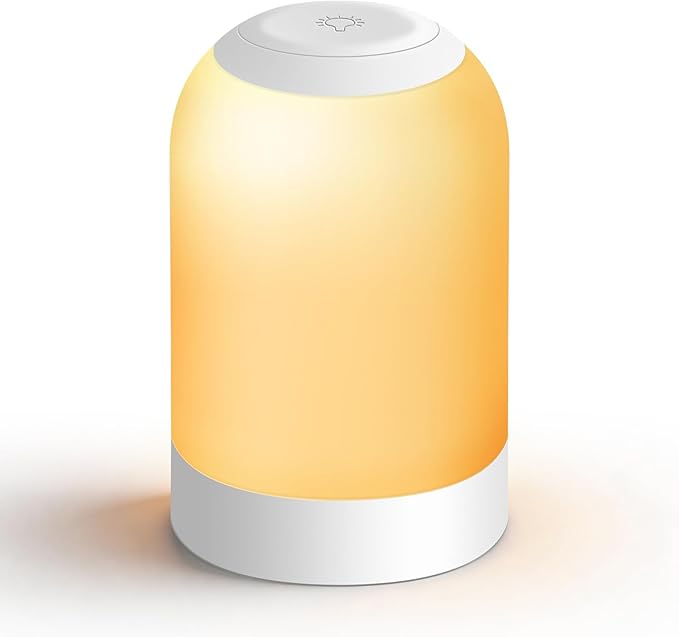 Rechargeable Night Light, LED Bedside Lamp with Brightness Memory, Portable Touch Table Lamp for Bedroom & Nightstand, Hanging Lantern for Camping, Emergency, Seniors