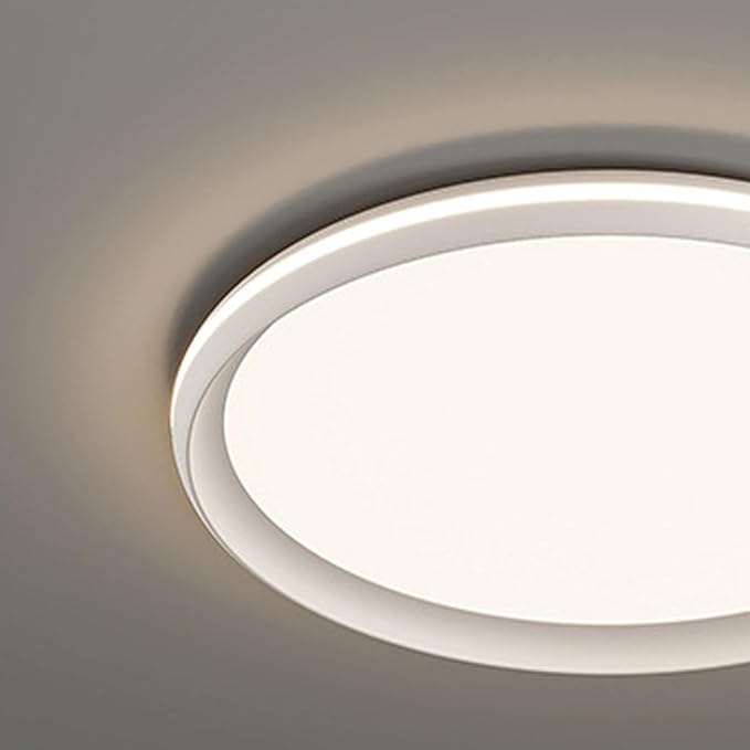 Modern Minimalist Ceiling Lamps Metal and Acrylic Flat Lighting Black and White Circular Ceiling Lights Suitable for Bedrooms and Study Rooms