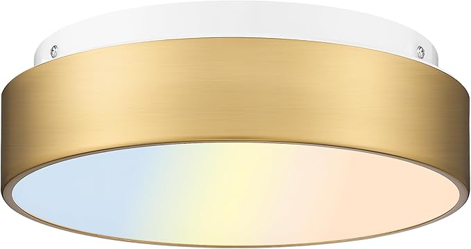 AUTELO LED Close to Ceiling Light Fixture 12" LED 18W Flush Mount Ceiling Light Fixtures with Frosted Glass Shade in Brass Finish for Kitchen LivingRoom Hallway Bedroom C3312 BRZ LED