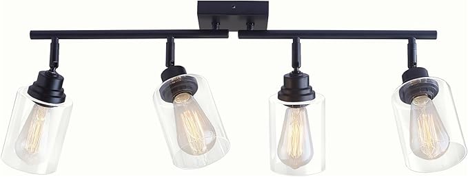 Modern 4-Light Track Lighting Fixtures Ceiling with Clear Glass Shades, E26 Base Kitchen Ceiling Light Fixture for Living Room, Bedroom & Bathroom